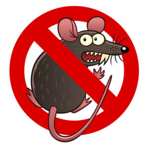 rodent damage coverage for your car in Boynton Beach, FL