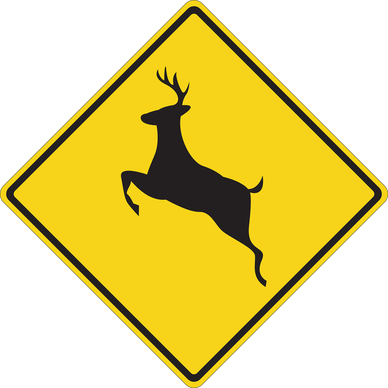 Active Deer Season & How to Lower Your Risk for a Collision