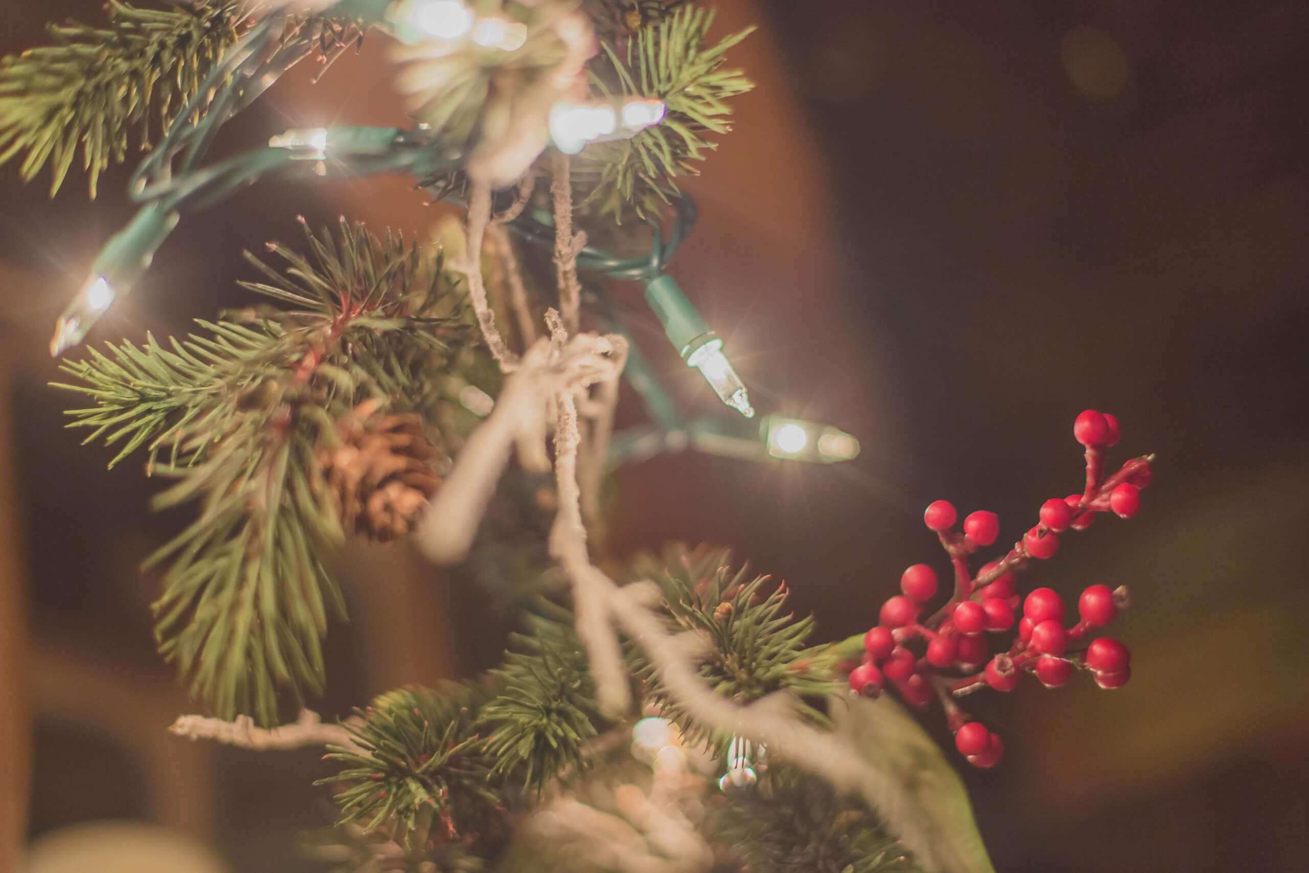 Safety Tips for This Holiday Season