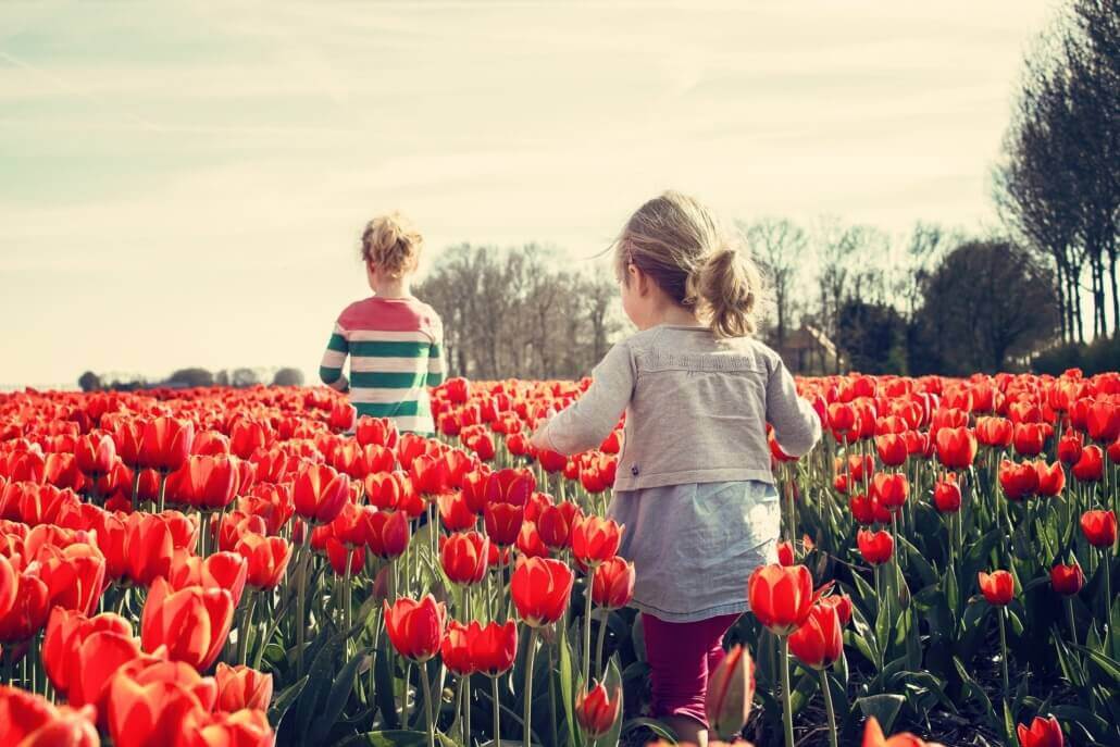 5 Things to Consider Doing This Spring