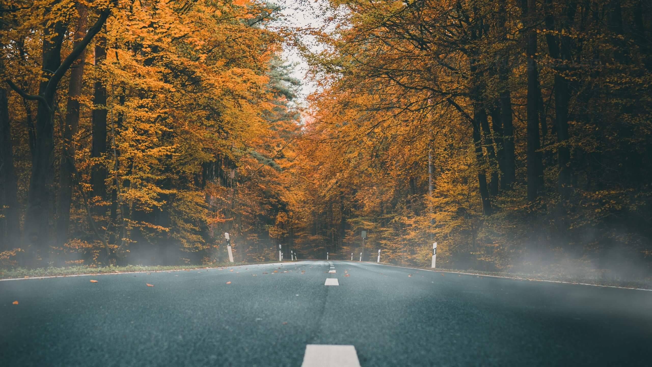 How to Prep Your Car for Fall and Winter Seasons